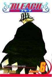 Bleach, Vol 6