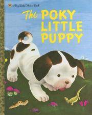 cover of The Poky Little Puppy (Big Little Golden Book)
