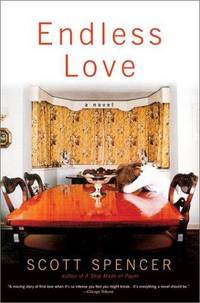 image of Endless Love