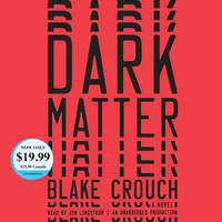 Dark Matter: A Novel
