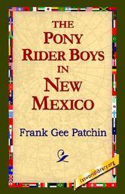 The Pony Rider Boys In New Mexico