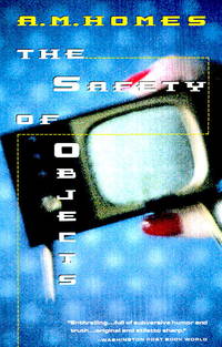 image of The Safety of Objects