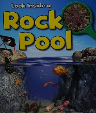 Rock Pool. Book BIBLIO | Rock Pool by Louise A. Spilsbury | Hardcover | 2013 | Raintree ...
