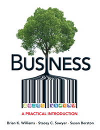 Business : A Practical Introduction