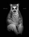 Elliot Ross: Animal
