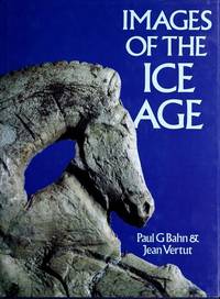 Images of the Ice Age