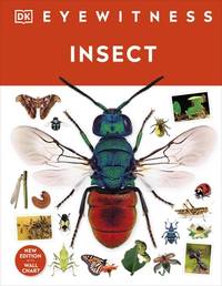 Insect: DK Eyewitness