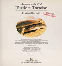 Turtle and Tortoise