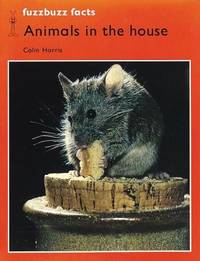 Fuzzbuzz : A Remedial Reading Scheme
