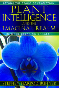 Plant Intelligence and the Imaginal Realm: Beyond the Doors of Perception into the Dreaming of Earth by Stephen Harrod Buhner
- Paperback
- 1st Edition
- 2014
- from Carmarthenshire Rare Books. (SKU: 117806)