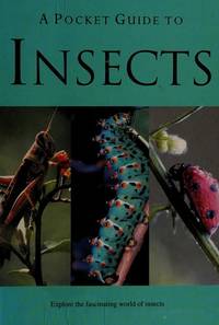 A Pocket Guide to Insects (Pocket Guides)
