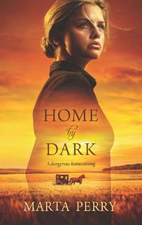 image of Home by Dark