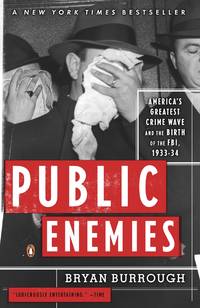 Public Enemies: America&#039;s Greatest Crime Wave and the Birth of the FBI, 1933-34 by Bryan Burrough