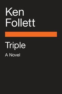 Triple: A Novel