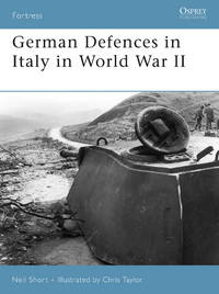 German Defences in Italy in World War II (Fortress, 45)