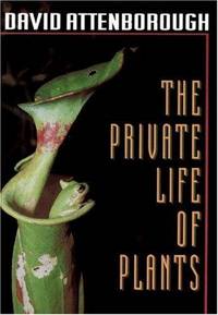 The Private Life Of Plants