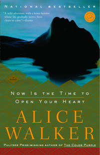 Now Is the Time to Open Your Heart: A Novel by Alice Walker