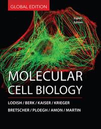 image of Molecular Cell Biology