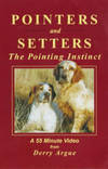 Pointers and Setters