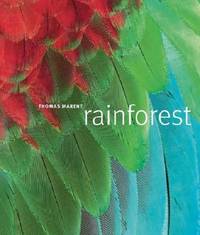 Rainforest