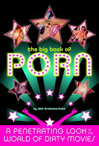The Big Book of Porn : A Penetrating Look at the World of Dirty Movies