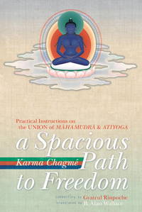 A Spacious Path To Freedom: Practical Instructions On The Union Of Mahamudra And Atiyoga by Chagme, Karma