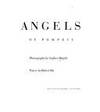 Angels of Pompeii Brigidi, Stephen and Bly, Robert by Robert Bly - 1991-11-01