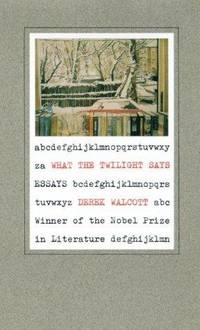 What The Twilight Says Essays
