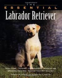 The Essential Labrador Retriever