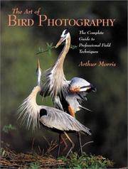 Art of Bird Photography: The Complete Guide to Professional Field Techniques by Morris, Arthur - 2003