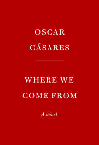 Where We Come From: A novel