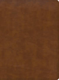 cover of Holy Bible: Christian Standard Bible, Holy Land Bible, British Tan Leathertouch; a Visual Exploration of the People, Places, and Things of Scripture