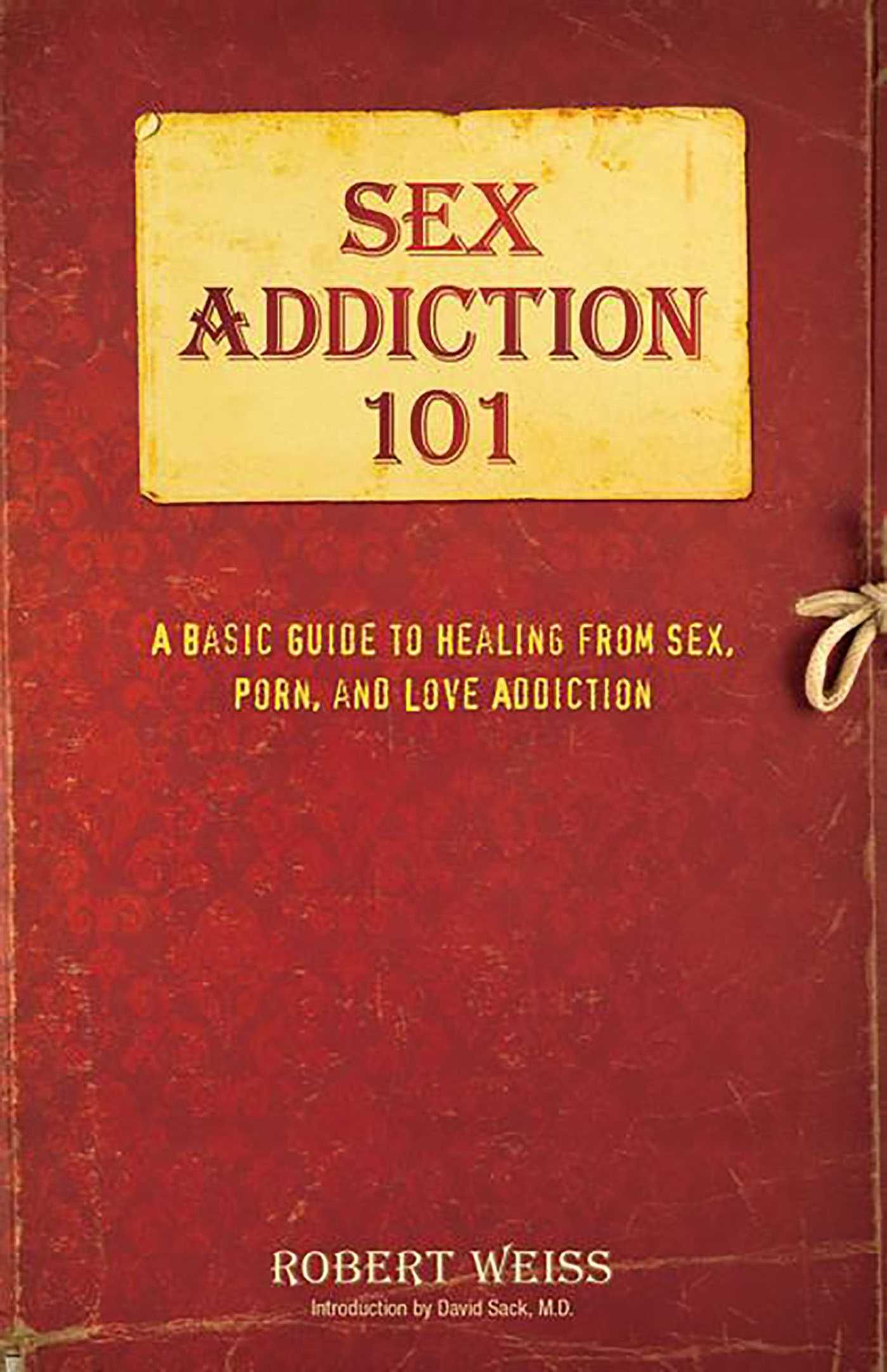 Sex Addiction 101: A Basic Guide to Healing from Sex, Porn, and Love  Addiction by Robert Weiss PhD LCSW | Paperback | 2015-10-27 | Health  Communications | 1st Edition | 9780757318436 | Biblio