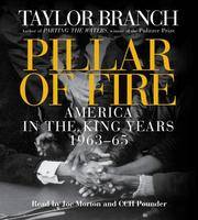 image of Pillar of Fire: America in the King Year