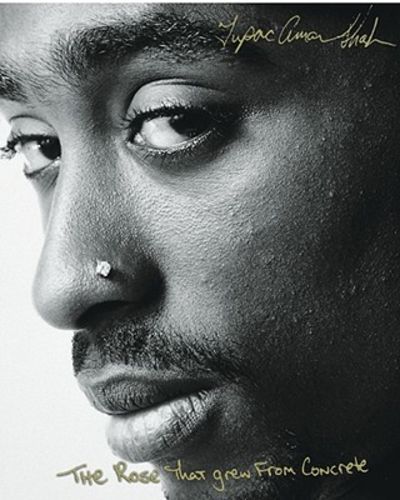 The Rose That Grew From Concrete by Shakur, Tupac