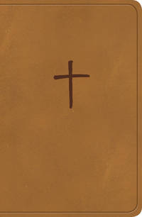cover of Holy Bible: King James Version, On-the-go Bible, Ginger Leathertouch