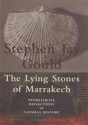 image of The Lying Stones Of Marrakech