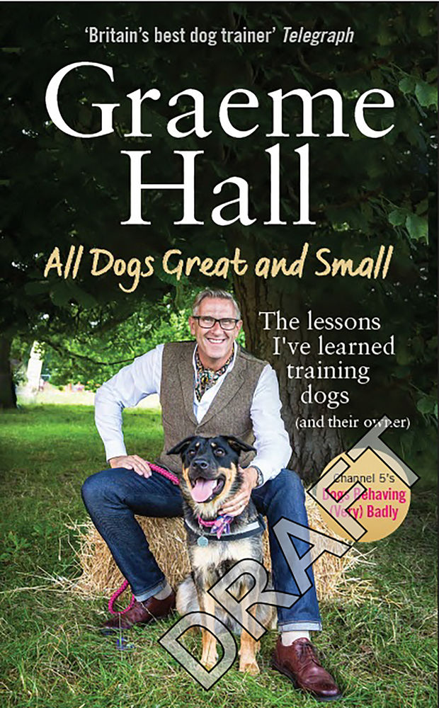 All Dogs Great and Small: What I’ve learned training dogs