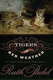 Tigers In Red Weather