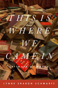 cover of This Is Where We Came In: Intimate Glimpses