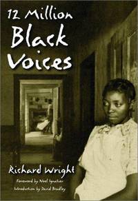 image of 12 Million Black Voices