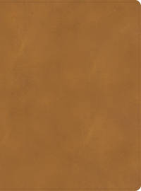 cover of Holy Bible: Christian Standard Bible, Holy Land Bible, Ginger Leathertouch; a Visual Exploration of the People, Places, and Things of Scripture