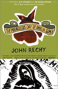image of The Miraculous Day of Amalia Gomez: A Novel