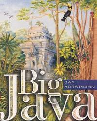 Big Java (ISBN: 9780471402480)