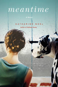 Meantime: A Novel