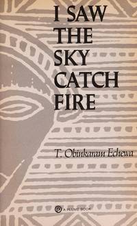 I Saw the Sky Catch Fire (Plume Contemporary Fiction)