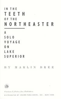 In the Teeth of the Northeaster by Marlin Bree