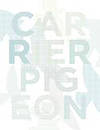 Carrier Pigeon : Volume 3 Issue 1