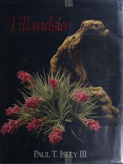 Tillandsia: The World's Most Unusual Airplants