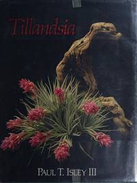 Tillandsia: The World's Most Unusual Airplants